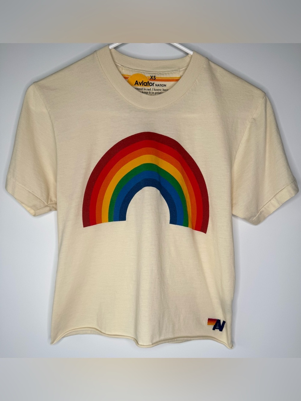 Aviator Nation Big Rainbow Boyfriend Tee